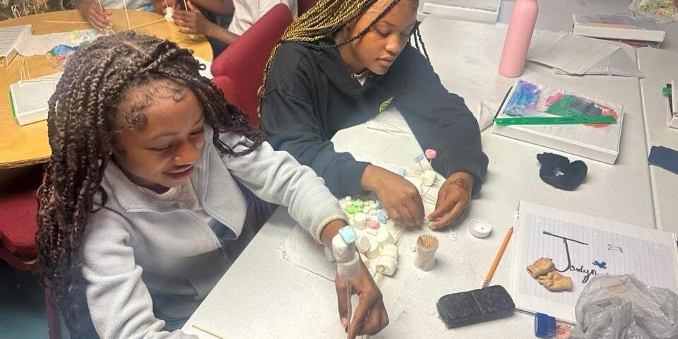 Stem Challenge 2